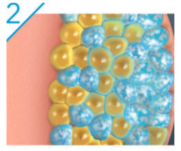 Untitled design - 2024-02-19T142813.435