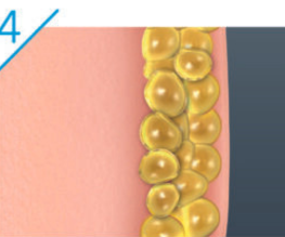 Untitled design - 2024-02-19T142943.723